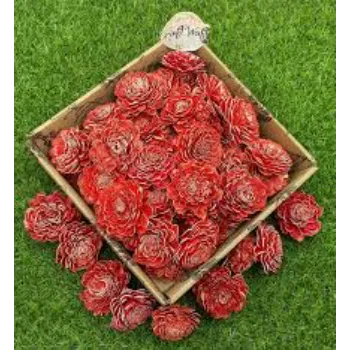 Red shola Flowers